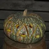 Lull Farm photo