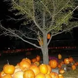 Lull Farm photo