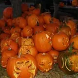 Lull Farm photo