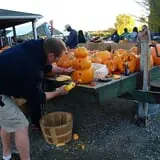 Lull Farm photo