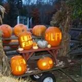 Lull Farm photo