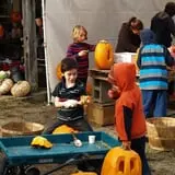 Lull Farm photo