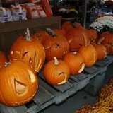 Lull Farm photo