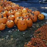 Lull Farm photo