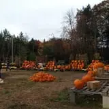 Lull Farm photo