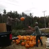 Lull Farm photo