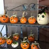 Lull Farm photo