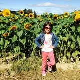 Fishkill Farms photo