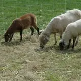 Fishkill Farms photo