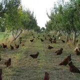 Fishkill Farms photo