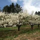 Fishkill Farms photo