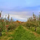 Fishkill Farms photo