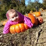 Fishkill Farms photo