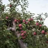 Fishkill Farms photo