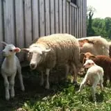 Fishkill Farms photo