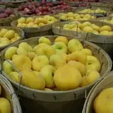 Fishkill Farms photo