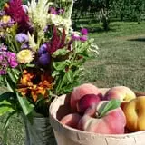 Fishkill Farms photo