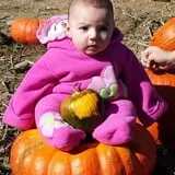 Fishkill Farms photo