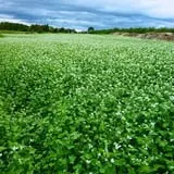 Fishkill Farms photo