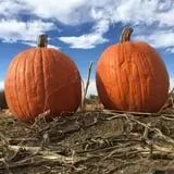 Fishkill Farms photo