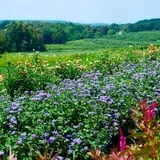 Fishkill Farms photo