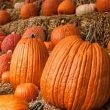Fishkill Farms photo