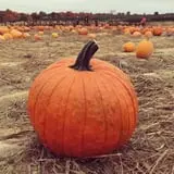 Fishkill Farms photo