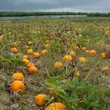 Fishkill Farms photo