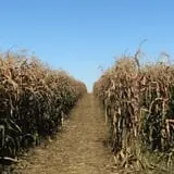 Fishkill Farms photo
