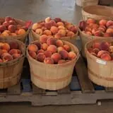 Fishkill Farms photo
