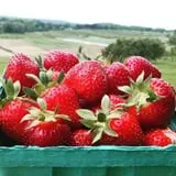 Fishkill Farms photo