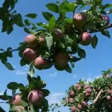 Fishkill Farms photo