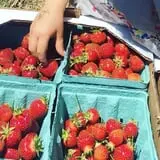Fishkill Farms photo
