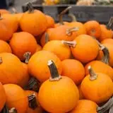 Fishkill Farms photo