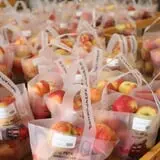 All Seasons Orchard photo