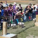 All Seasons Orchard photo