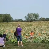 All Seasons Orchard photo