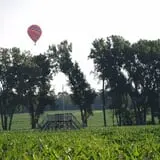 All Seasons Orchard photo