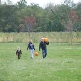 All Seasons Orchard photo