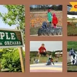 All Seasons Orchard photo