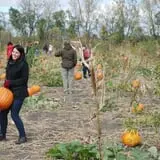 All Seasons Orchard photo