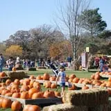 All Seasons Orchard photo