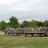 All Seasons Orchard photo