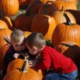 All Seasons Orchard photo