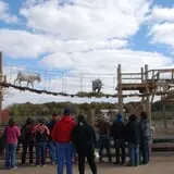 All Seasons Orchard photo