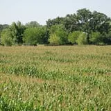 All Seasons Orchard photo