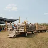 All Seasons Orchard photo