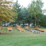 All Seasons Orchard photo