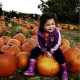 All Seasons Orchard photo
