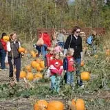 All Seasons Orchard photo